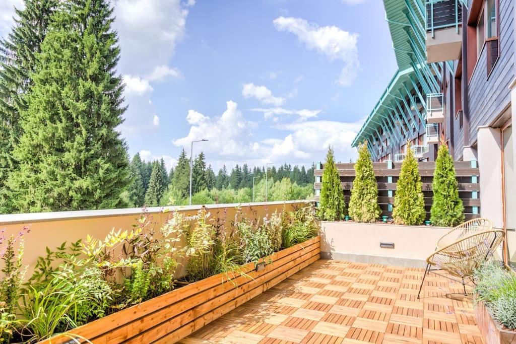 Splendor 3 Bedroom Flat In Silver Mountain Poiana Brasov Exteriör bild