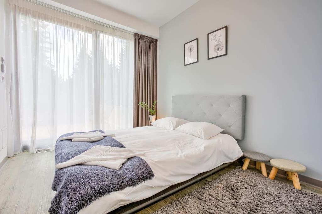 Splendor 3 Bedroom Flat In Silver Mountain Poiana Brasov Exteriör bild
