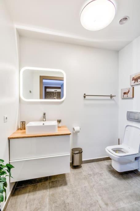 Splendor 3 Bedroom Flat In Silver Mountain Poiana Brasov Exteriör bild
